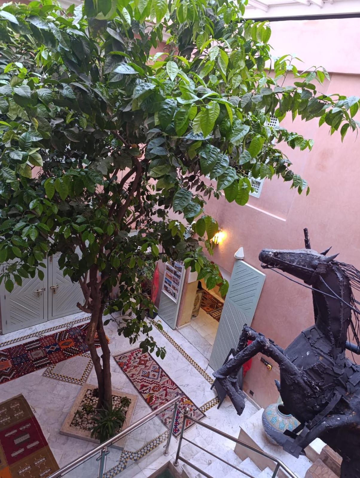 Riad Moullaoud Marakéš Exteriér fotografie